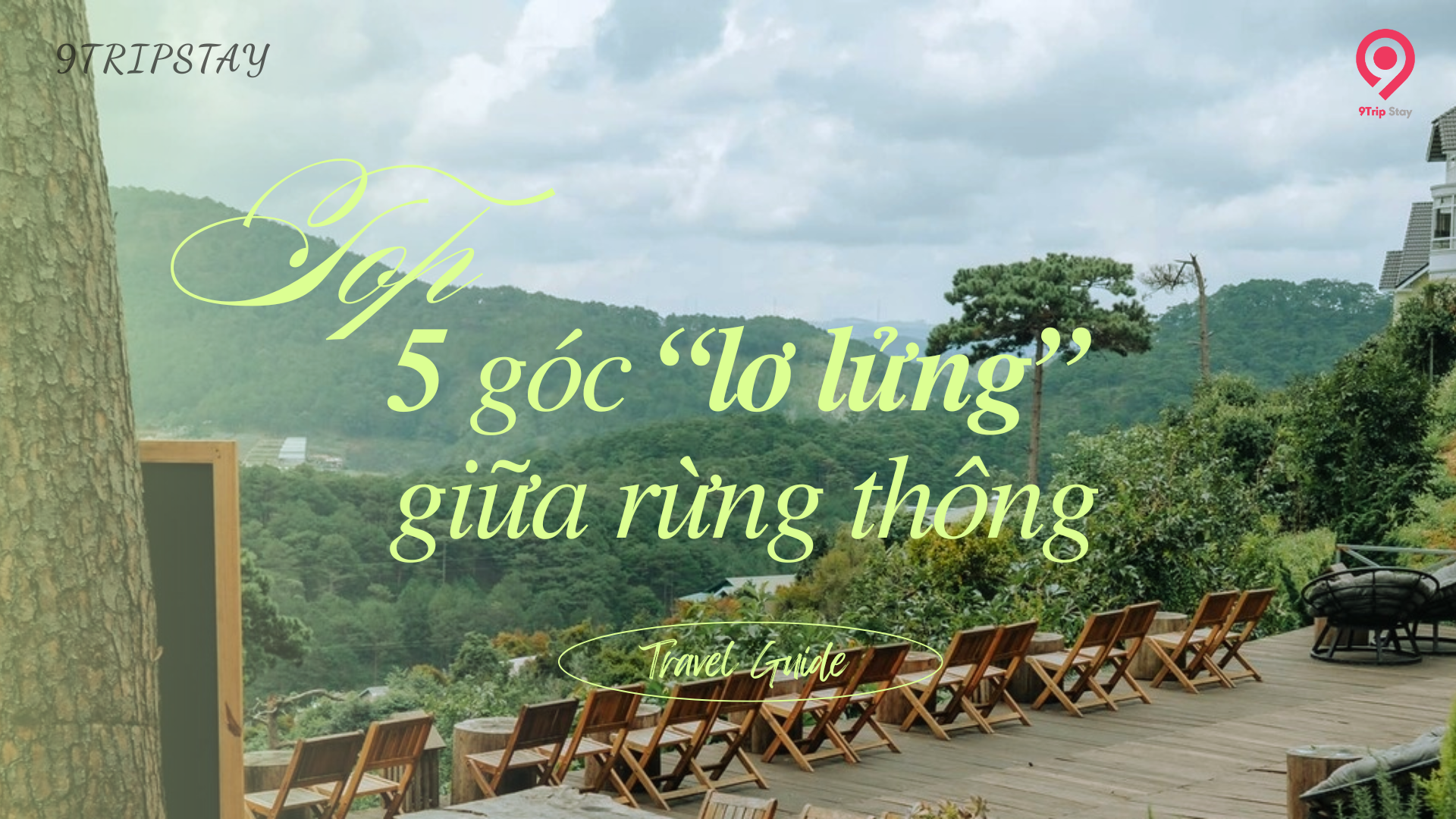 Quán cà phê đẹp Đà Lạt – Top 5 góc “lơ lửng” giữa rừng thông