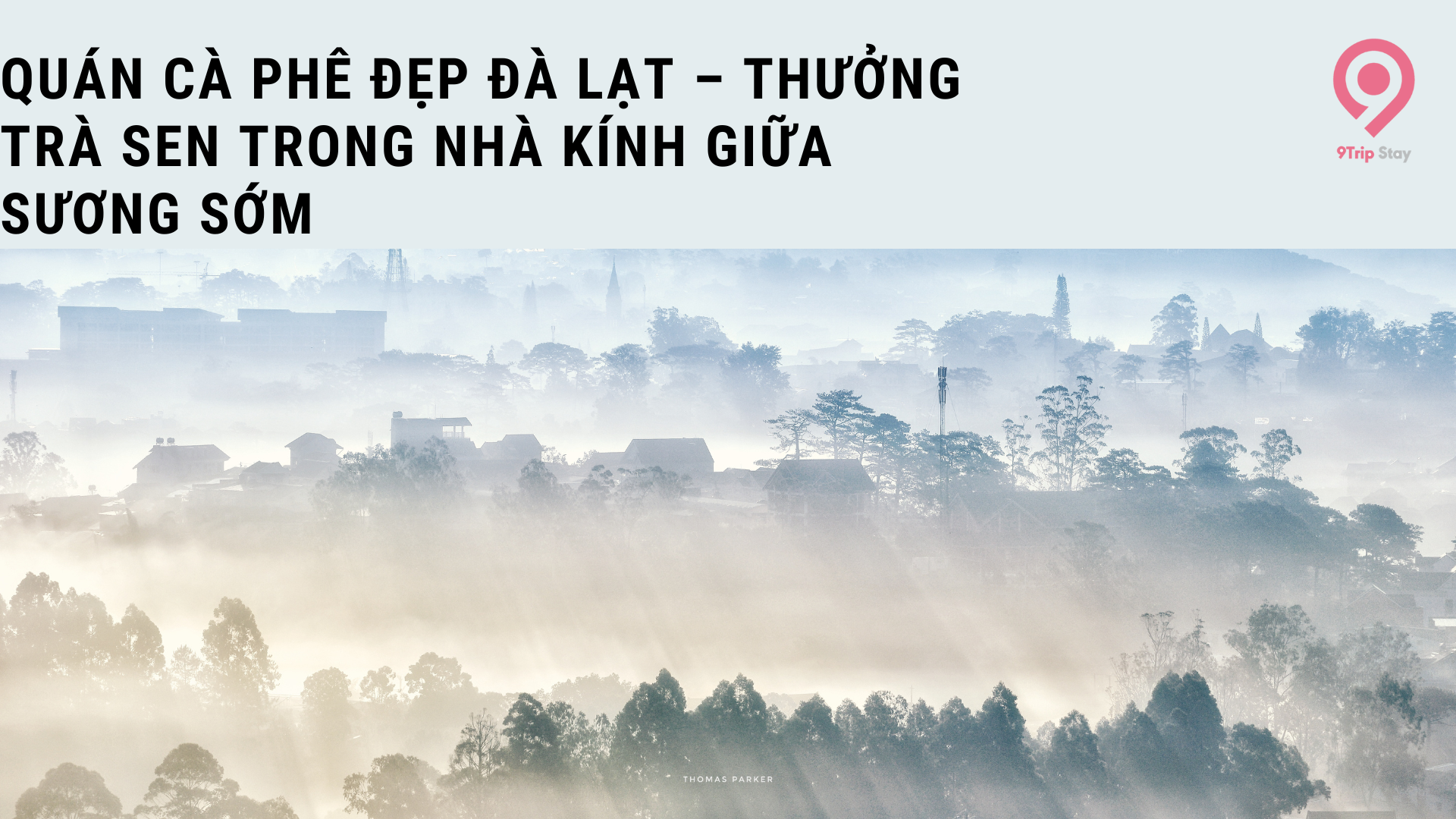 Quán cà phê đẹp Đà Lạt – Thưởng trà sen trong nhà kính giữa sương sớm