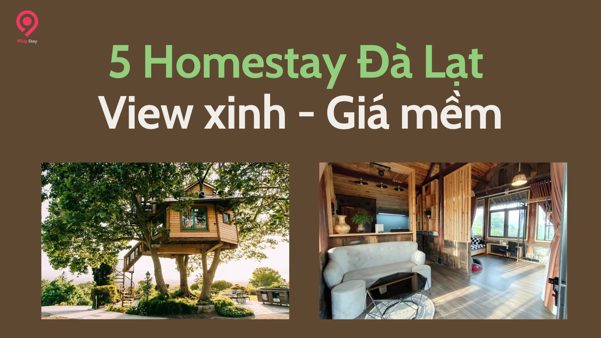 Review 5 Homestay Đà Lạt Có Bếp View Xinh, Giá Mềm
