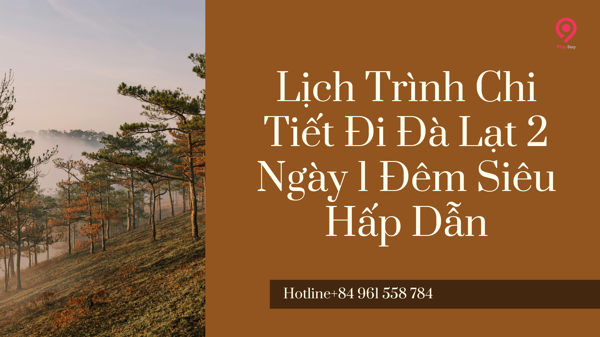 Lịch Trình Chi Tiết Đi Đà Lạt 2 Ngày 1 Đêm Siêu Hấp Dẫn